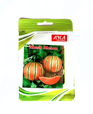 Qualtivate PUA-8A Musk Melon Seeds Seed(200 per packet)