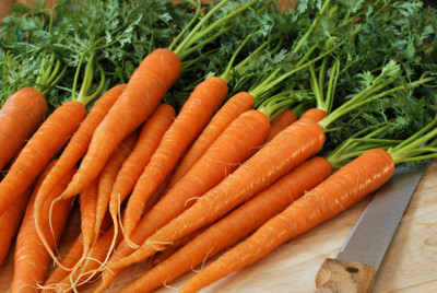 R-DRoz Orange Carrot Vegetables Quality Vegetables Seeds - Pack of 100 Seeds Seed(100 per packet)