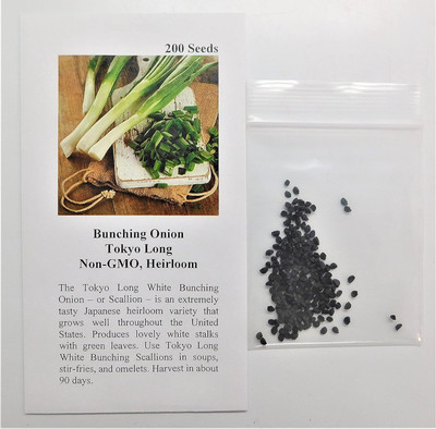 WILLVINE AMR -III Bunching Onion Tokyo Long Seeds [10g] Seed(7500 per packet)