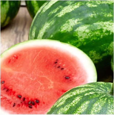 Qualtivate XXX-9A Cal Sweet Watermelon Seeds Seed(100 per packet)