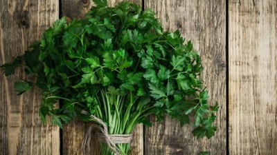 XOLDA Organic Parsley Seed(26 per packet)