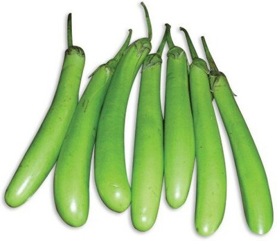 Aywal Begun Seed(80 per packet)