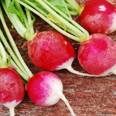 KNESSiN Beetroot Seed(200 per packet)