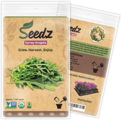 Qualtivate VXI-171 Surrey Arugula Seeds Seed(500 per packet)