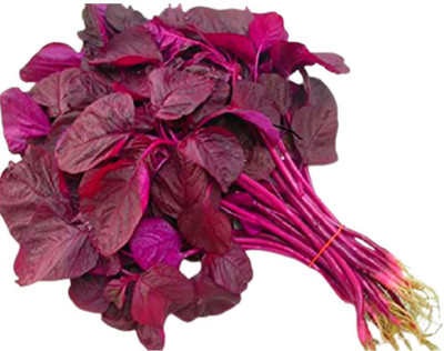 KANAYA Amaranth Seeds (Laal Saag) Cholai Seed(170 per packet)