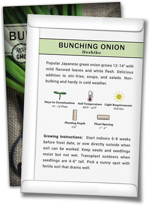 WILLVINE ® Heshiko Bunching Japanese Green Onion Seeds Seed(5000 per packet)