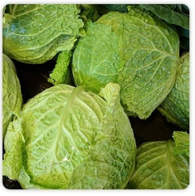 Quentova Iceberg Lettuce 2.5gm Seed(2000 per packet)