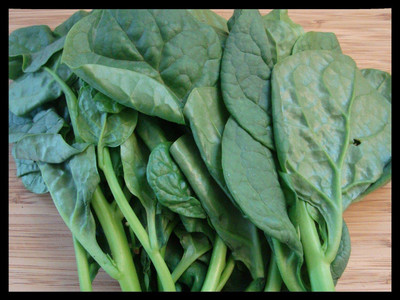 CYBEXIS PUAS-9 - Malabar Spinach - (750 Seeds) Seed(750 per packet)
