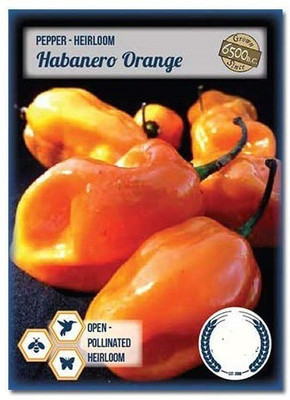 CYBEXIS Organe Habanero Pepper Chilli2400 Seeds Seed(2400 per packet)