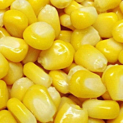 Clint Sweet corn Seed(43 per packet)