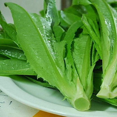 KNESSiN Lettuce Seed(200 per packet)