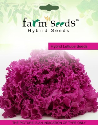 CRGO Lettuce ® Seeds -VXI-269 Seed(200 per packet)