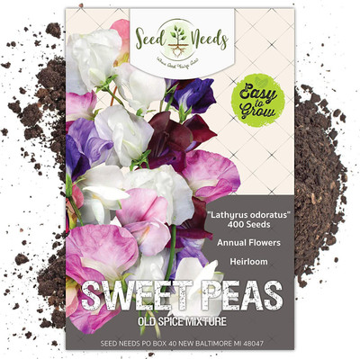 VibeX ® XXL-153 Old Spice Sweet Pea Seeds Seed(50 per packet)