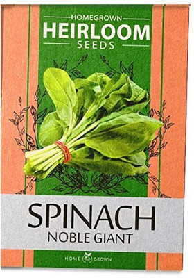 VibeX XLR-74 - Spinach - (1350 Seeds) Seed(1350 per packet)