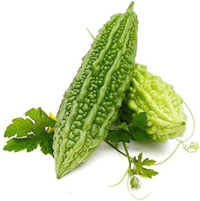 CYBEXIS Hardy Bitter Gourd Seeds-100 Seeds Seed(100 per packet)
