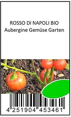 Biosnyg Heat Tolerant Rosso Di Napoli Brinjal ( Seeds) Seed(2000 per packet)