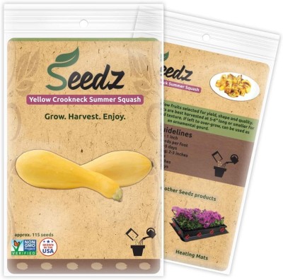 Qualtivate KXL-9AT Yellow Crookneck Summer Squash Seed(30 per packet)