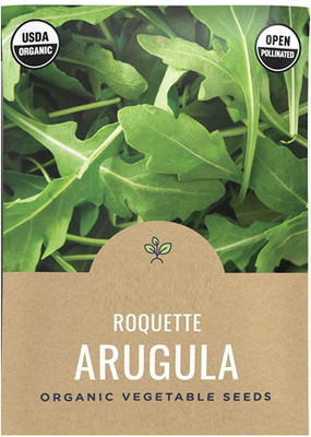 CYBEXIS NBIR-76 - ARUGULARocketRoquetteRucolaRugula - (750 Seeds) Seed(750 per packet)