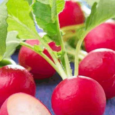 KNESSiN VII-24 Round Red Redish Seed(200 per packet)