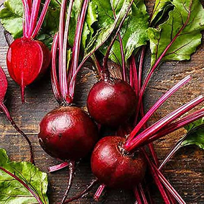 BJUBAS Beetroot seeds for sprouting Pack of 82 Seed(82 per packet)