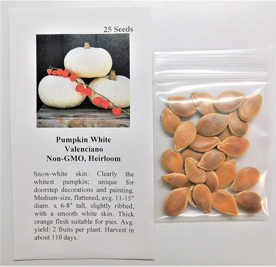 VibeX ® XLR-607 Pumpkin White Valenciano Seed(50 per packet)