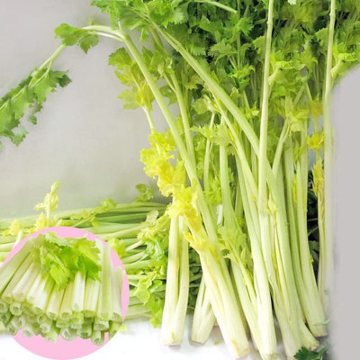 VibeX TLX-24 - Yellow Heart Chinese Celery - (250 Seeds) Seed(250 per packet)