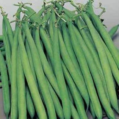 Aywal French Beans Seed(51 per packet)