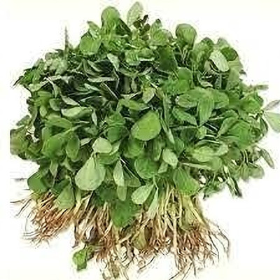Aywal Methi/Fenugreek Seed(225 per packet)