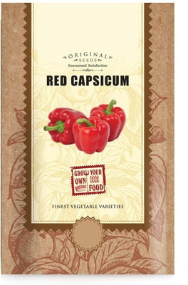CYBEXIS LXI-90 - Capsicum Red Colour - (1350 Seeds) Seed(1350 per packet)