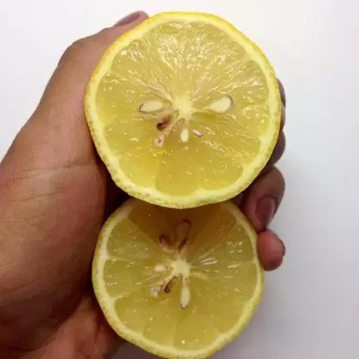 Chalisa Lemon, Nimbu Seed(64 per packet)
