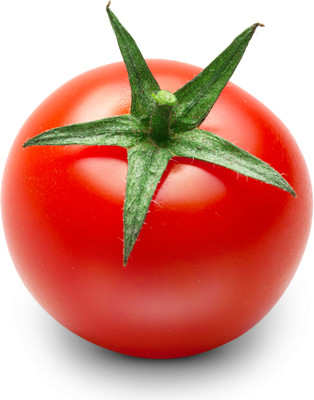 VRAKSHA High Quality Red Tomato Seed(2000 per packet)