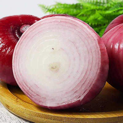 CYBEXIS F5Red Onion Seeds2000 Seeds Seed(2000 per packet)