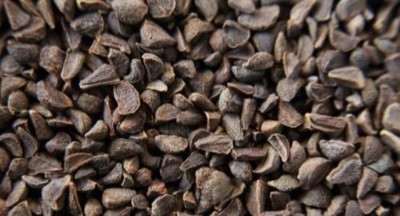 Aromatic Harmal seeds, Peganum harmala, wild rue Seed(400 g)