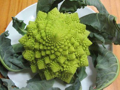 Qualtivate HUA-8A Broccoli Romanesco - Rare & Unique Seed(300 per packet)