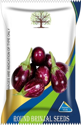 VibeX GBPUT-95 - Brinjal Round Purple (Baigan/Eggplant) - (1350 Seeds) Seed(1350 per packet)