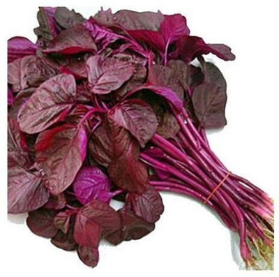 Jignishaseeds Thotakura Red Hybrid Vegetable gardening Seed(500 per packet)