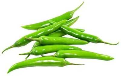 Quentova Green Chilli(Hari Mirch) / हरी मिर्च-10G-KGF Seed(250 per packet)