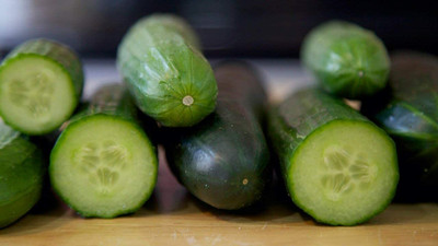 WHYGI Organic Excelsior F1 Cucumber Seeds-CuC_105 Seed(50 per packet)