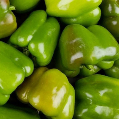 PMA Capsicum Seed Seed(250 per packet)