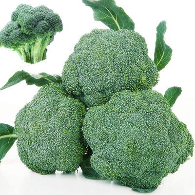 CYBEXIS Green Cauliflower Seeds2000 Seeds Seed(2000 per packet)