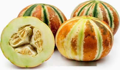 PLUSGREEN Kajari Melon/Musk Melon Seed(60 per packet)