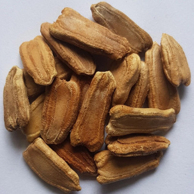 HAMPHU MSTP PLANT & SEEDS HYBRID BOTTL SEEDS PACK OF 15E GOURD Seed(15 per packet)