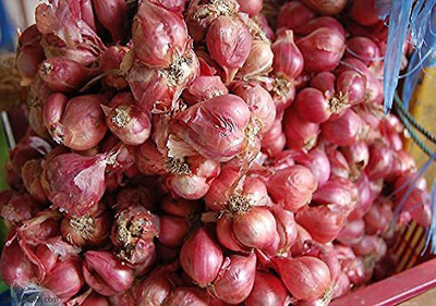 VibeX ® VMR-848 Farm Hybrid small shallot onion Seed(1000 per packet)