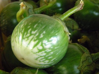 Arshiayat Brinjal-F1-Green Hybrid Seed(64 per packet)