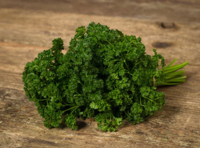 Quentova Curled Leaf Parsley-LTK-2V Seed(50 per packet)