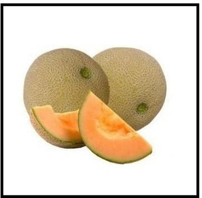 Qualtivate PUA-9A Musk Melon Seeds Seed(200 per packet)