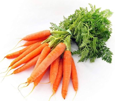 BDSresolve F1 carrot seeds/Carrot Seed 67 Seed(67 per packet)