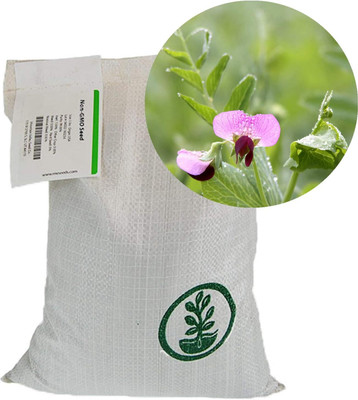 Qualtivate PUAS-7A Austrian Field Pea Seeds Seed(200 per packet)