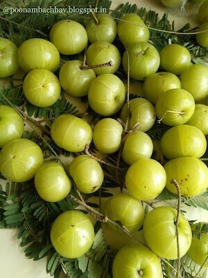 PLANTZON Amla Seed(55 per packet)