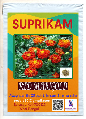 SUPRIKAM BIG SIZE RED MARIGOLD /RAKTO GENDA GROW IN YOUR GARDEN TO CREAT NATUTE BEAUTY Seed(23 per packet)